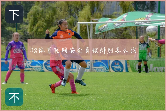 hg体育官网安全真假辨别怎么找