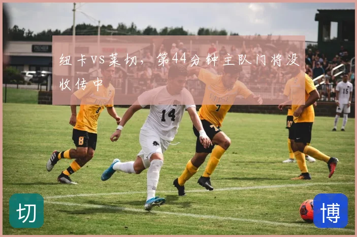纽卡vs莱切，第44分钟主队门将没收传中