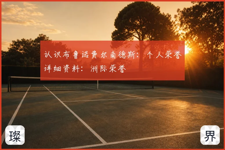 认识布鲁诺费尔南德斯：个人荣誉详细资料：洲际荣誉