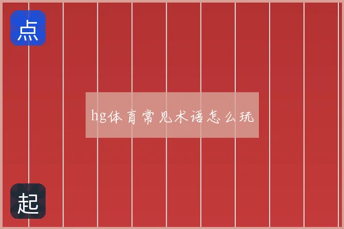 hg体育常见术语怎么玩